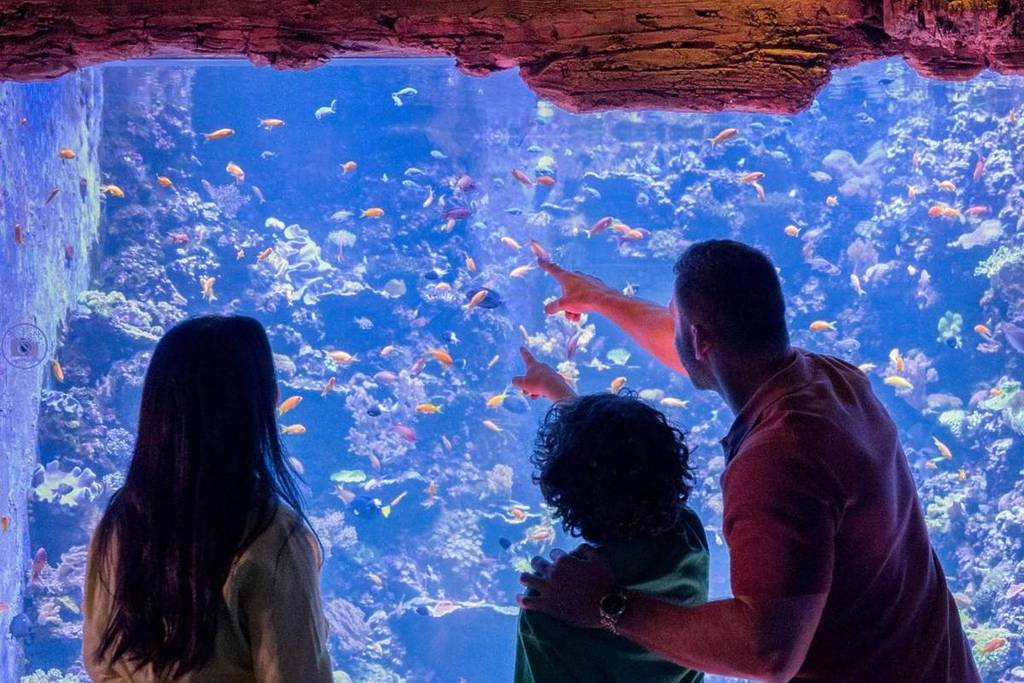 A family enjoying the National Aquarium in Abu Dhabi