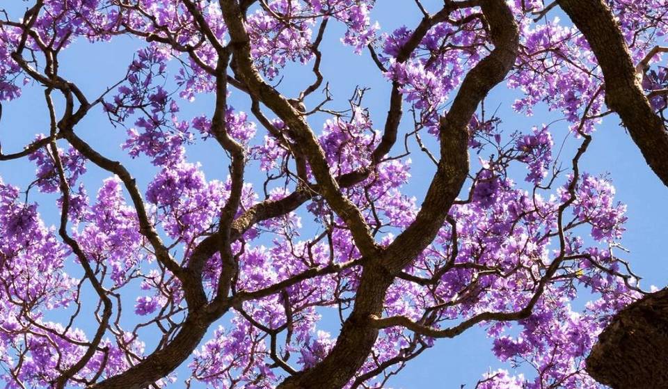 Mirá todo lo que podés hacer en Septiembre en Buenos Aires: ¡Agendate estos 14 eventos imperdibles!