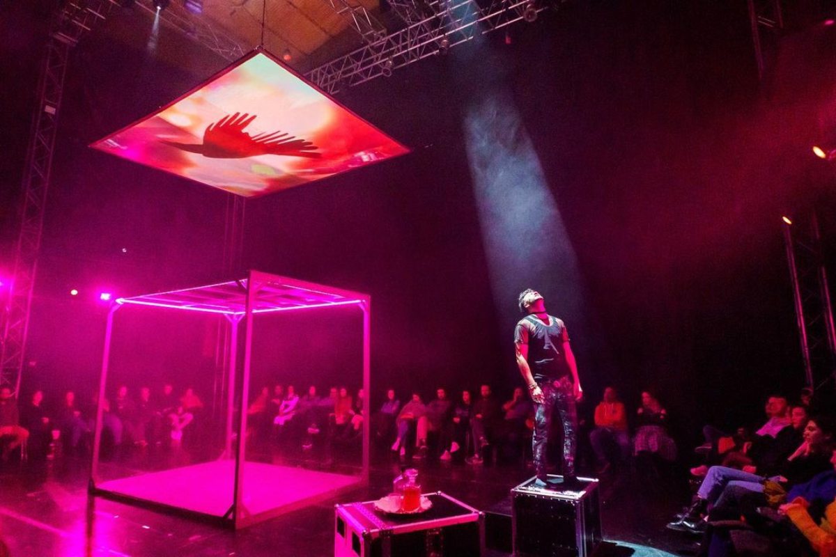 Birdland Tu experiencia teatral 360 ¡Quedan pocas funciones!