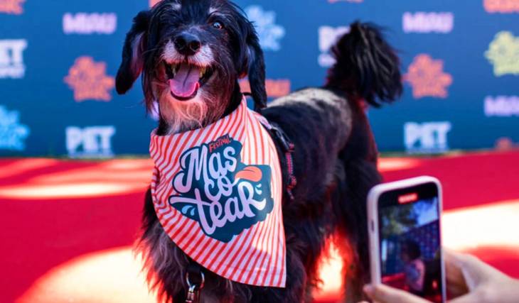 Mascotear 2026: Vuelve el festival para mascotas de Buenos Aires con zona de juegos, adopciones y hasta  Pet Carpet