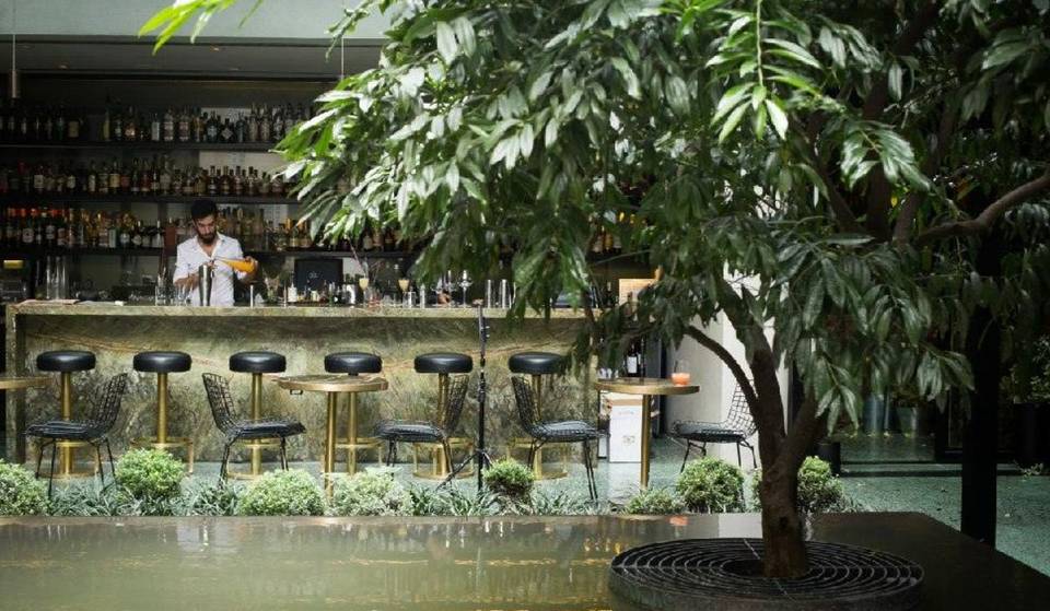 Los más lindos jardines con cafetería para un cafecito al aire libre y a la sombra