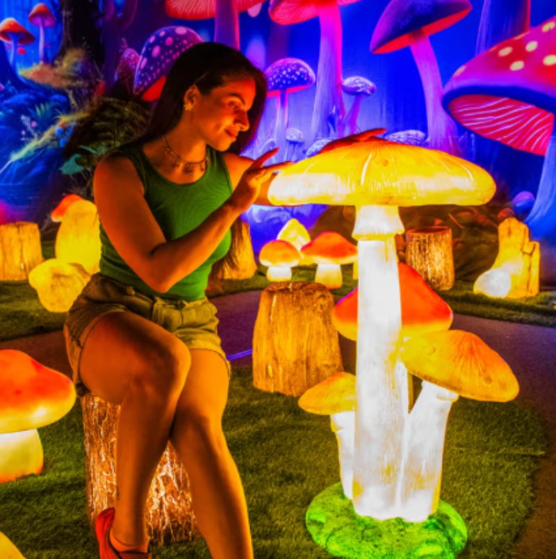 que hacer en mar del plata