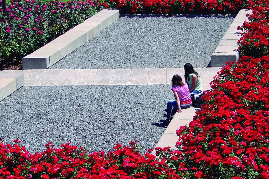 secret rose garden buenos aires