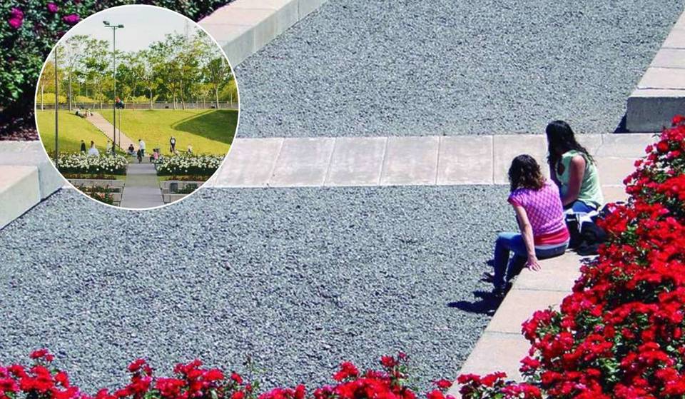 Buenos Aires tiene un Rosedal secreto con 3600 rosales cerca del río y está en Puerto Madero