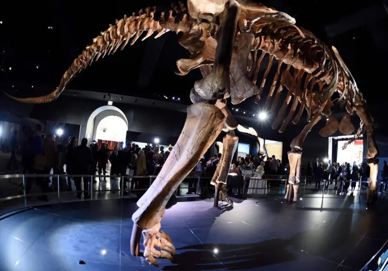 dinosaurio más grande del mundo Buenos Aires