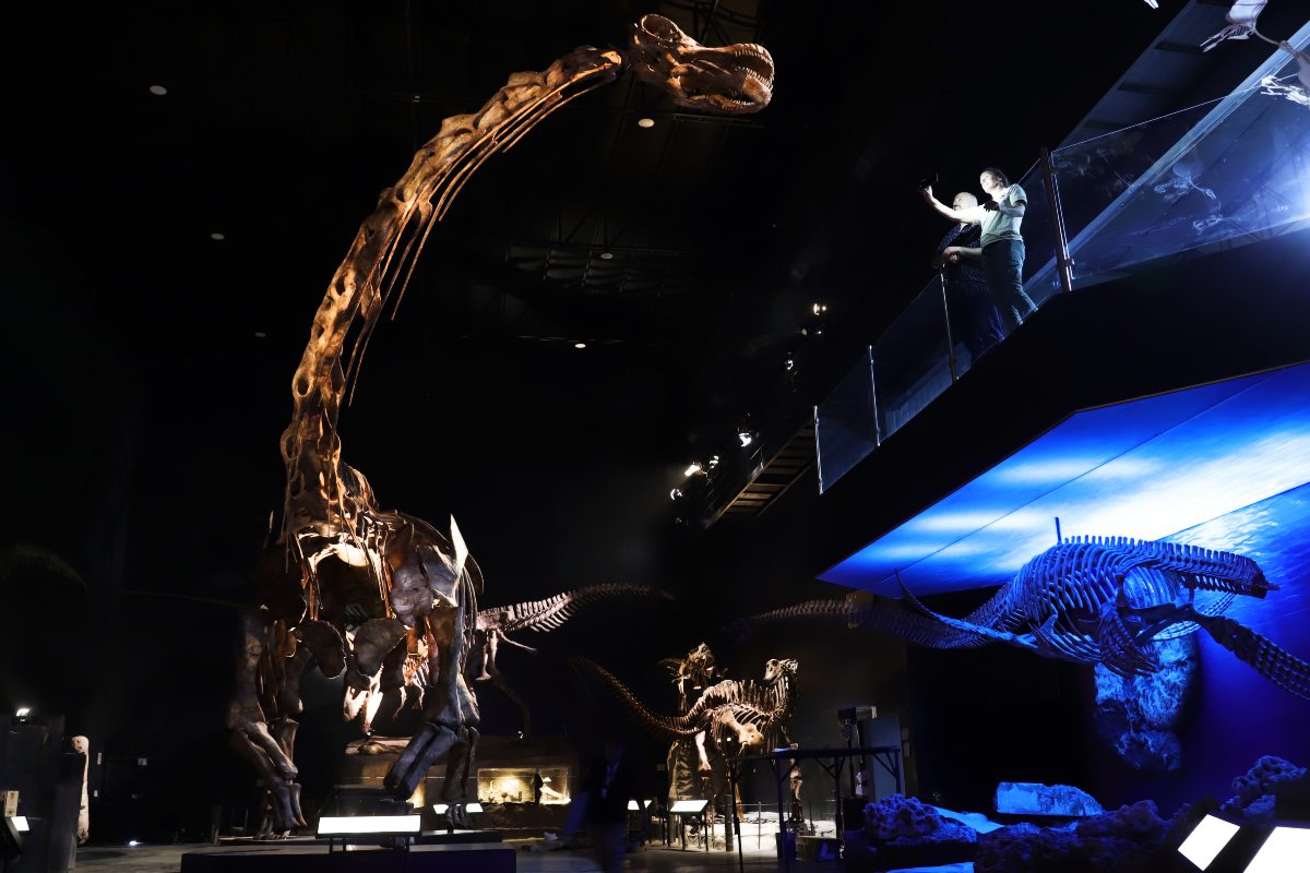 El dinosaurio más grande del mundo en Buenos Aires