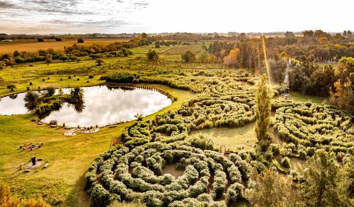 A Bamboo Labyrinth hides 90 minutes away from Buenos Aires: 10 varieties of bamboo to get lost in this winter vacations