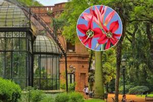 Dos días entre mariposas, flores y orquídeas: el Jardín Botánico de Buenos Aires celebra su feria anual con entrada libre y gratuita