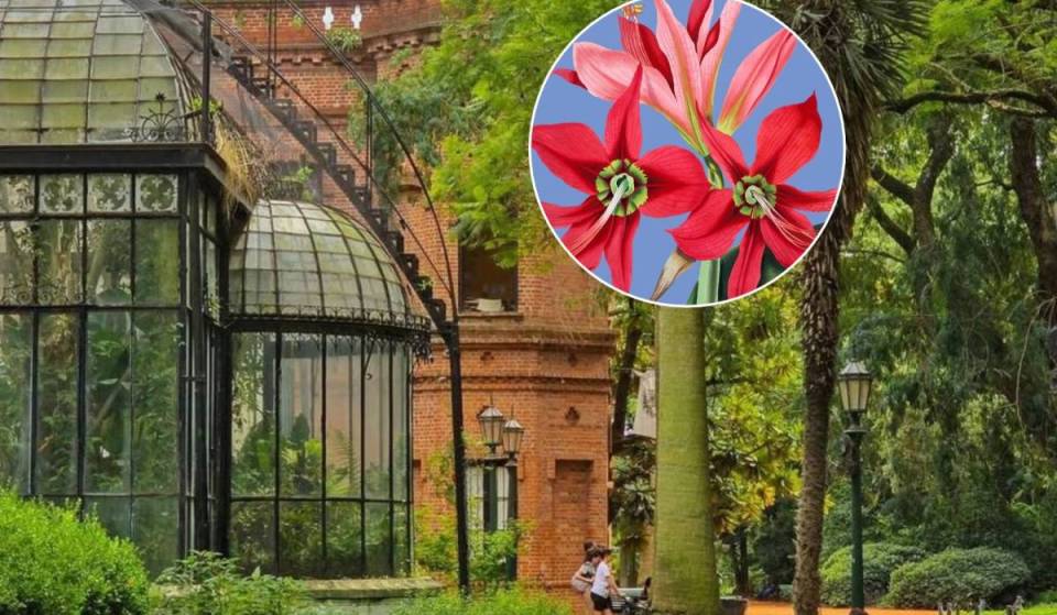 Dos días entre mariposas, flores y orquídeas: el Jardín Botánico de Buenos Aires celebra su feria anual con entrada libre y gratuita