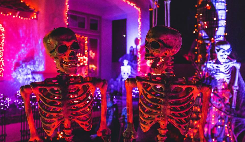 Celebrá la Noche de Brujas en este Museo de Buenos Aires: criaturas de la noche, brujas y dinosaurios para un Halloween en familia