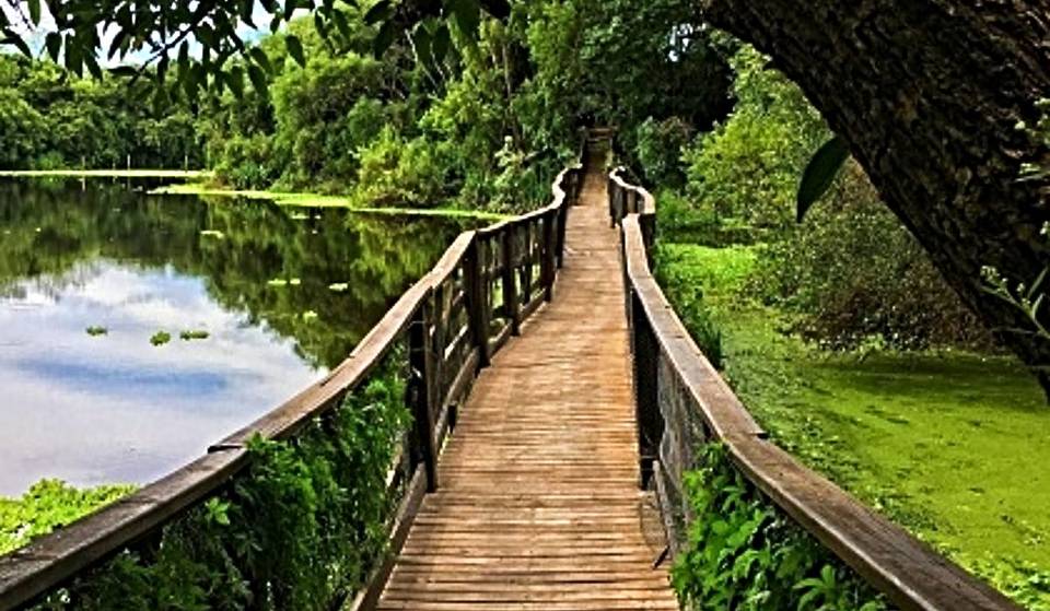Las Reservas Ecológicas a 40 minutos de Buenos Aires GRATUITAS con Laguna, acceso al Río y Naturaleza plena