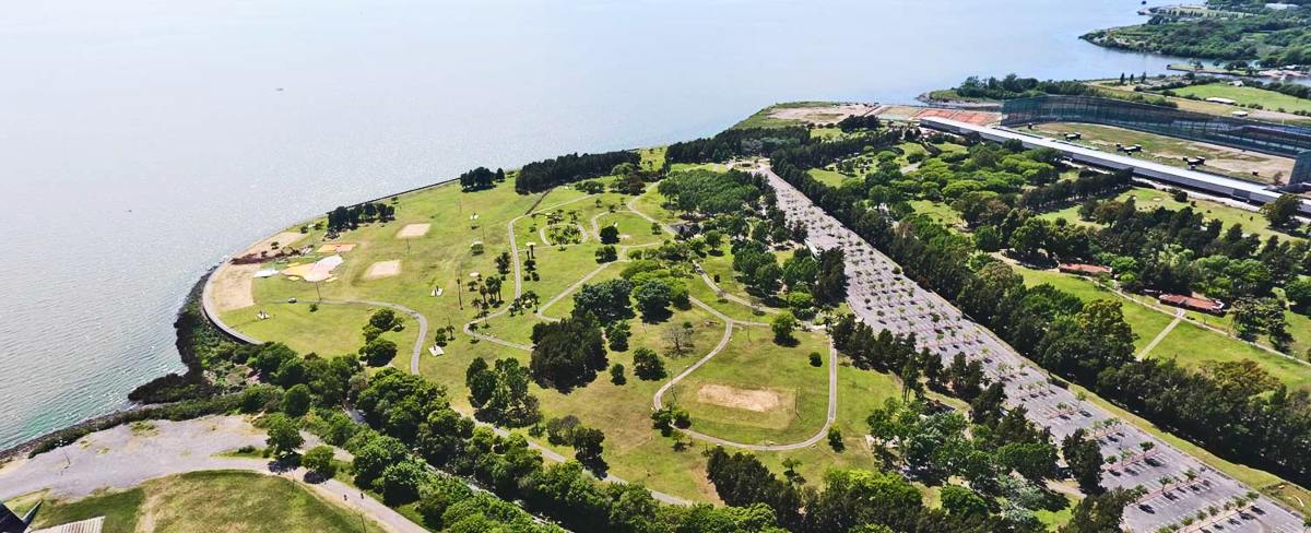 parque de los niños colectivo