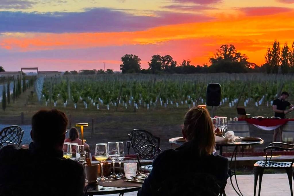 viñedo a 1hs de Buenos Aires