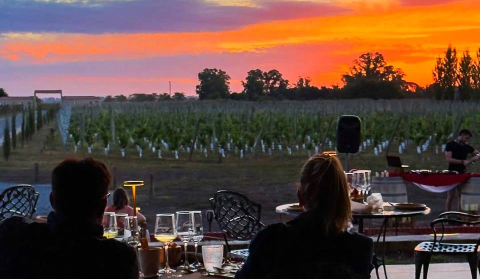 This is the vineyard 1 hour from Buenos Aires that makes you feel like you’re in Mendoza: Sunsets with good wine, tastings, and a restaurant to spend the day.