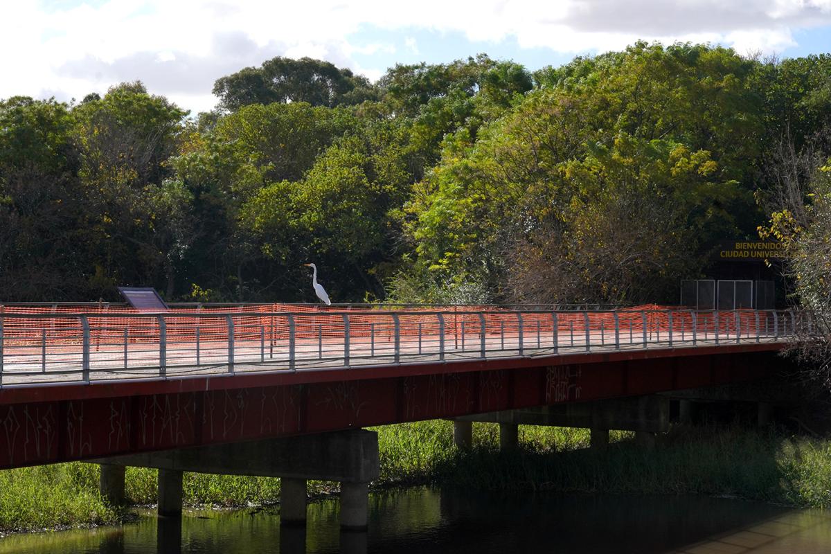 parques costeros buenos aires