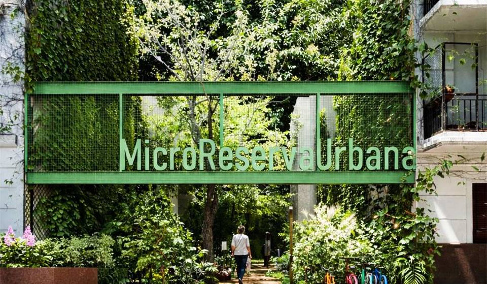 La naturaleza transformó un baldío en Almagro y Buenos Aires podría tener su primer Micro Reserva Ecológica Urbana