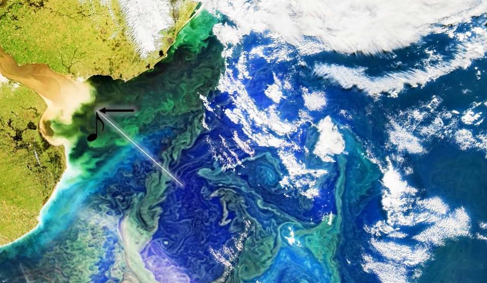 NASA created a melody using the colors of the Río de la Plata, and this is what it sounds like