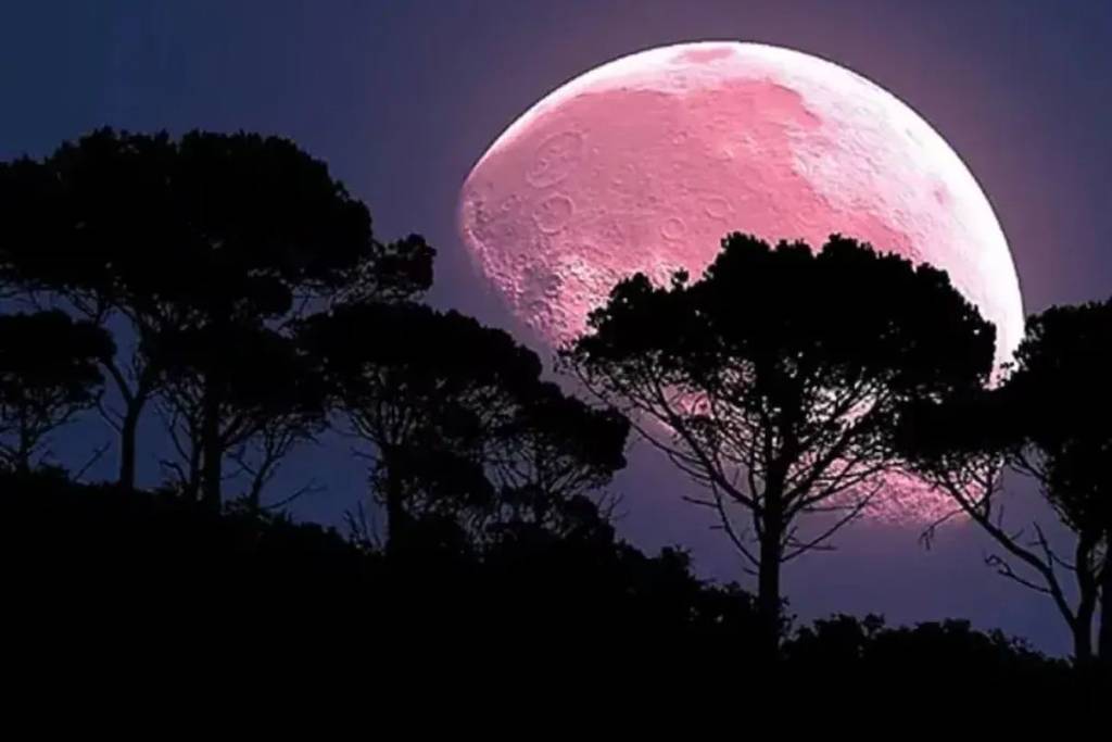 luna rosa buenos aires