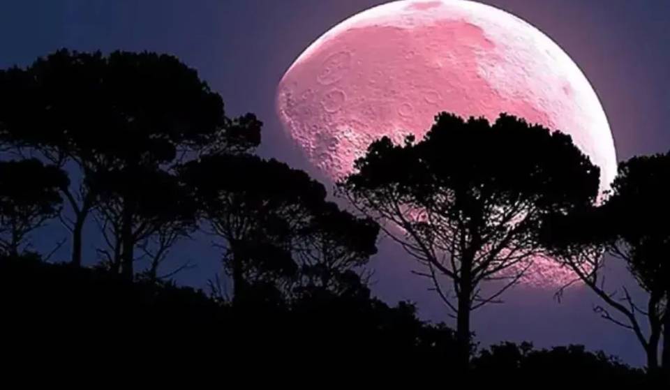 Este miércoles 1 de Abril es la Luna Rosa: Desde qué hora podés verla en Buenos Aires y los mejores lugares para hacerlo