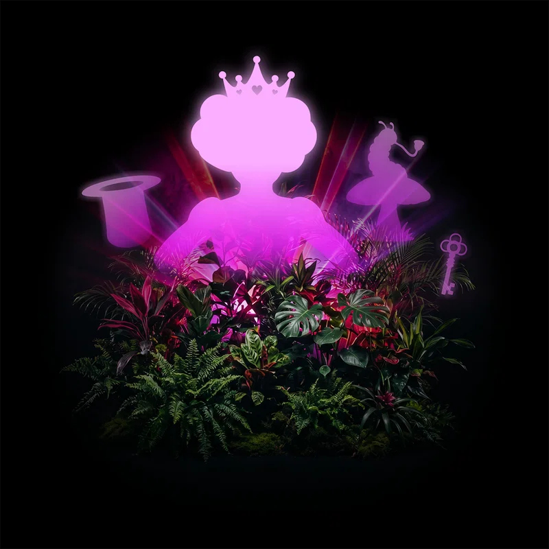 immersive experience alicia botanical garden buenos aires