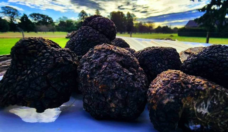 The Black Diamond Festival: This is the town of 800 residents in Buenos Aires celebrating the Black Truffle Festival this weekend