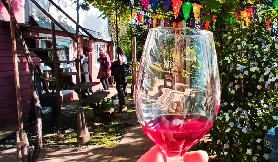 La Isla con Viñedos a menos de 2 horas de Buenos Aires a la que llegás en lancha: Así son las catas de del Vino de la Costa