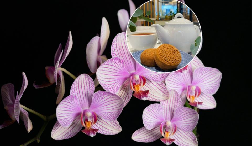 Una Feria de Orquídeas con Entrada Gratis te espera este fin de semana en una Casa de Té Japonesa escondida en Palermo