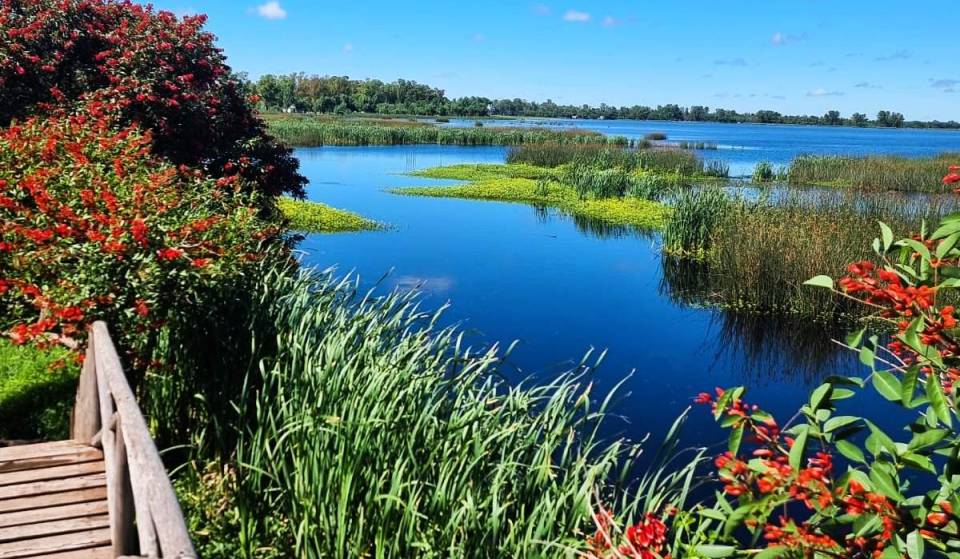 An ’80s-style retro picnic and party at this lake just one hour from Buenos Aires: the ideal getaway 100 km from CABA to welcome spring