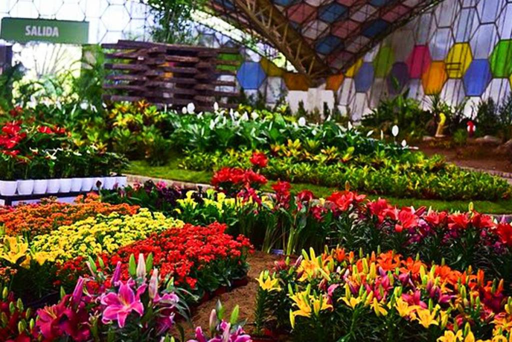fiesta de la flor escobar 2026