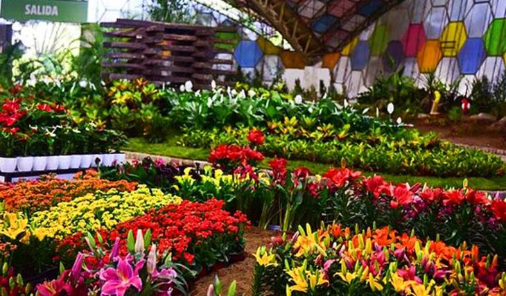 Nueva edición de la Fiesta de la Flor: Fito Paez, Pedro Aznar y desfile de carrozas de flores a una hora de Buenos Aires