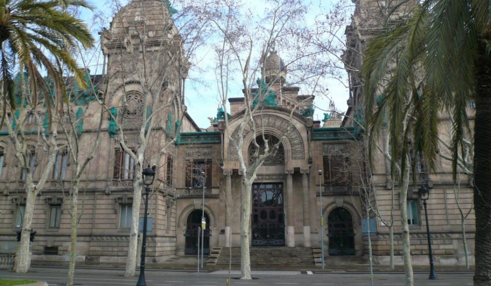 Encuentran fósiles de millones de años en edificios de Barcelona