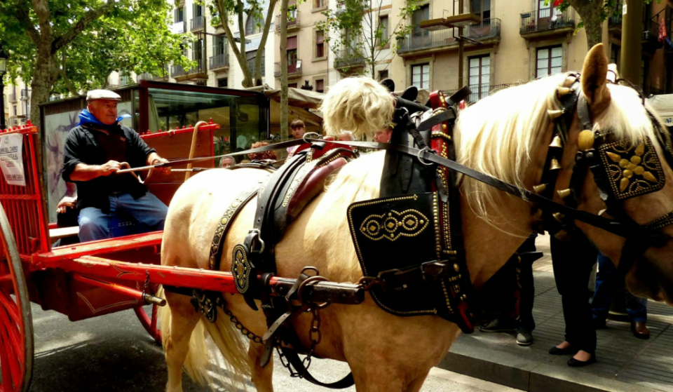 Los carruajes de caballos quedarán prohibidos en Barcelona a partir de 2018