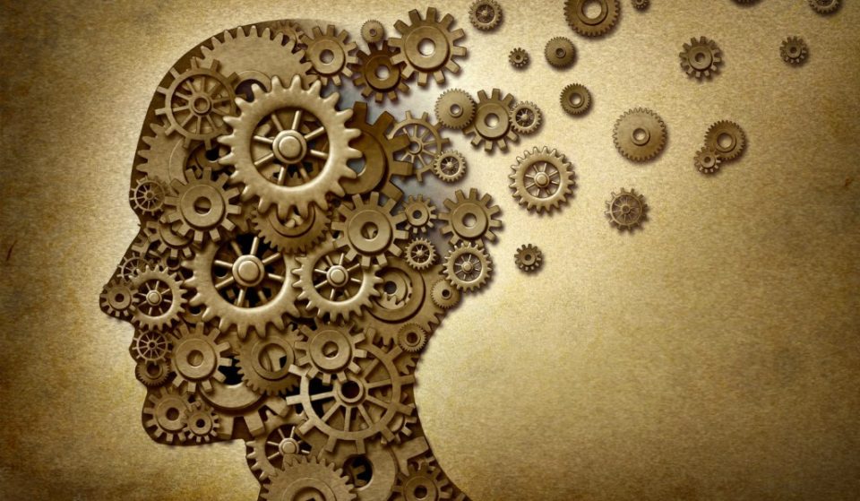 Todo lo que siempre quisiste saber sobre tu cerebro y nunca te aprendiste a preguntar