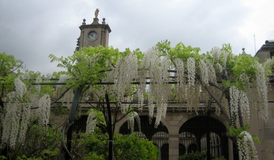 Los Jardines de Mercè Rodoreda, un oasis literario y oculto en la ciudad