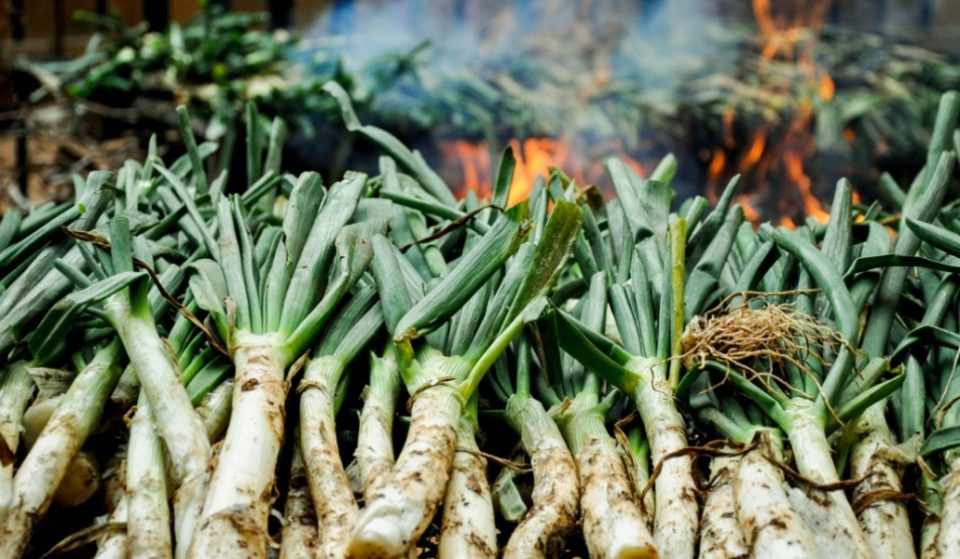 The Calçot Festival, un evento con el calçot como protagonista