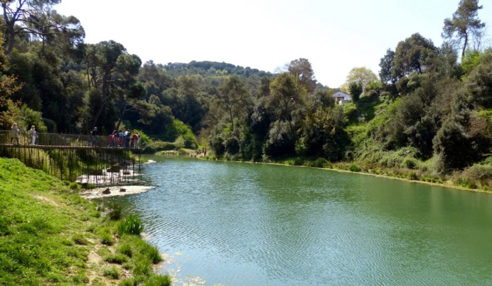 El pantano de Vallvidrera, la tranquilidad hecha lugar físico