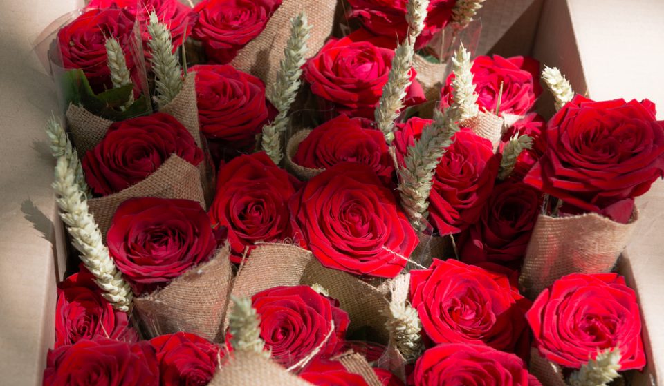 Todas estas floristerías enviarán rosas a domicilio este Sant Jordi