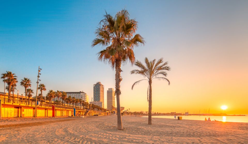 Qué puedo y qué no puedo hacer en las playas de Barcelona