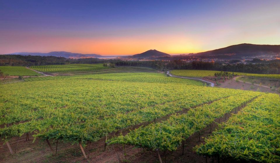 El arte y el vino de La Rioja Alta S.A. se dan la mano en esta cata online