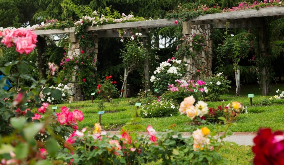 6 jardines y espacios verdes de visita imprescindible
