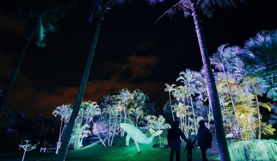 Natura Encesa, un espectáculo de luces en los Jardines de Pedralbes