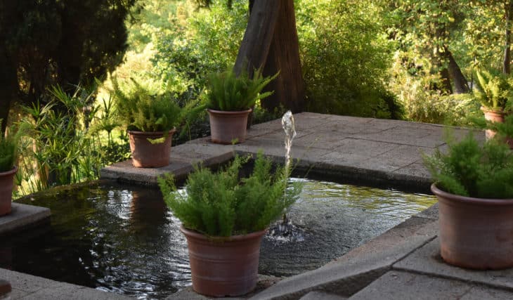 8 jardins espectaculars de Barcelona per passejar