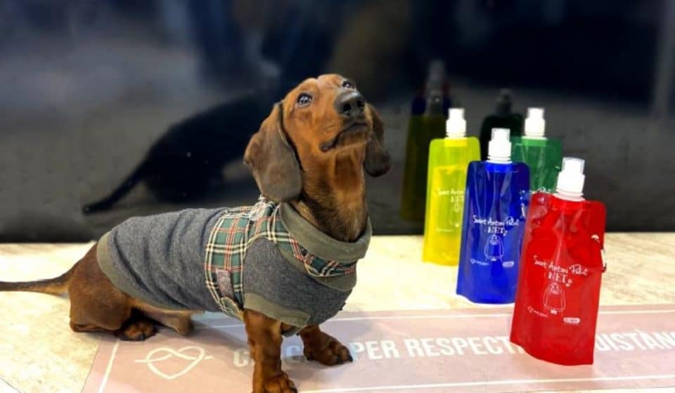 Sant Antoni regalará botellas de plástico para combatir el orín de los perros