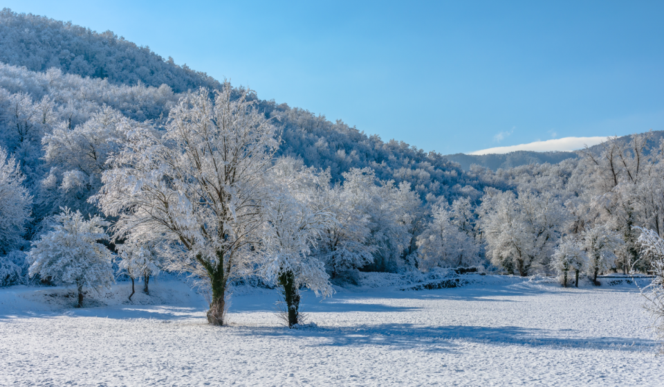Dónde se ha dejado ver la nieve en Catalunya