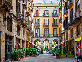 I migliori programmi di gennaio per dare il benvenuto al 2026