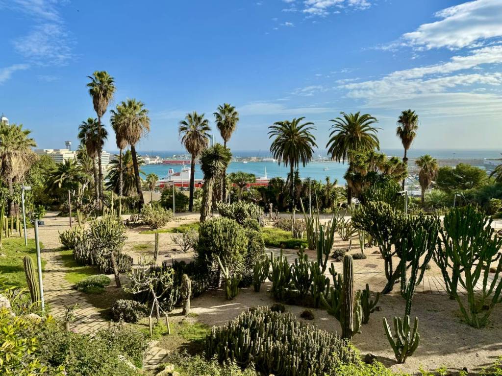Plano general de los Jardines de Mossèn Costa i Llobera.