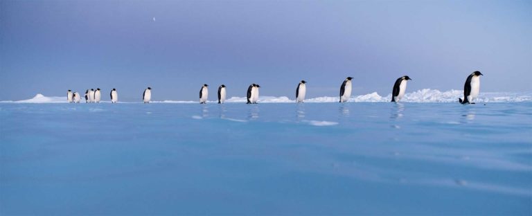 Antarctica Experience