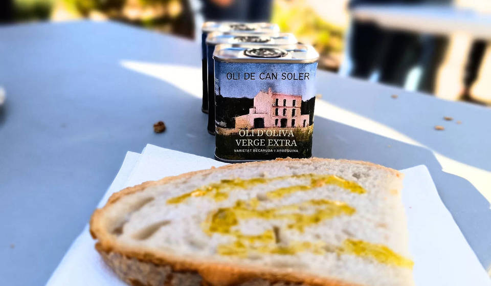 Nace el primer aceite de oliva fabricado en la ciudad de Barcelona