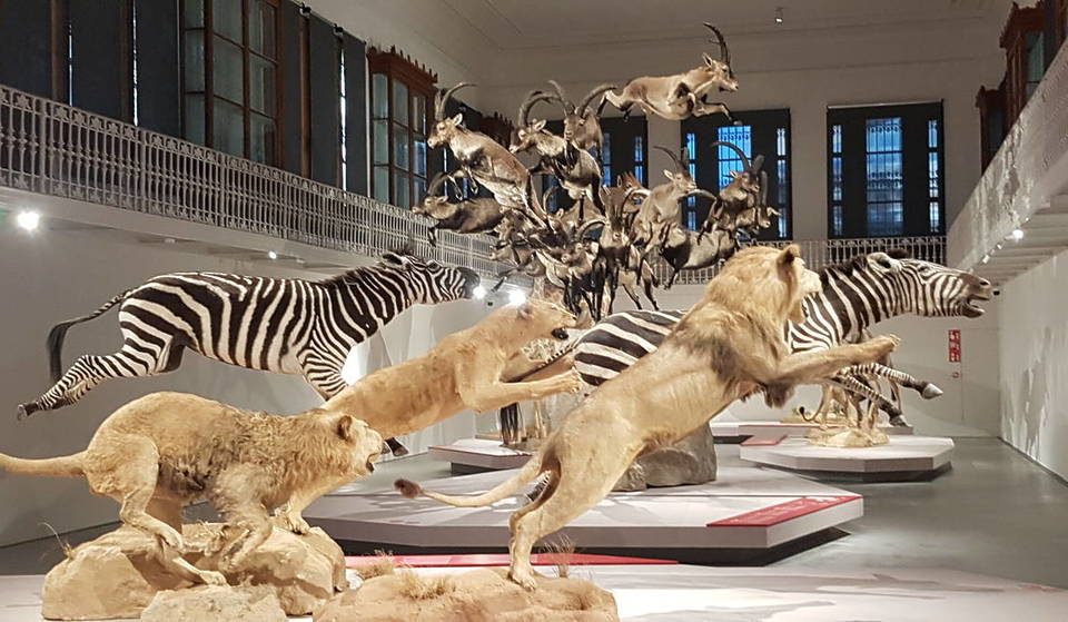 Reabre el museo más antiguo de Barcelona tras 13 años cerrado