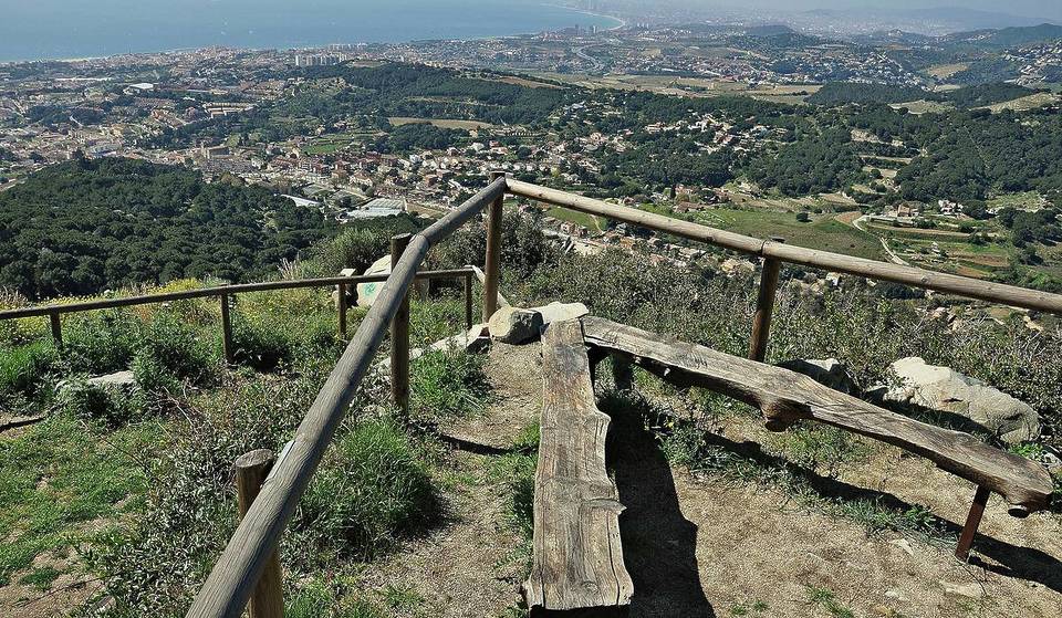 Recitales de poesía gratis en el bosque: así es «Poesia als parcs»